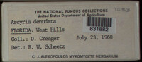 Image Associated With the Occurence